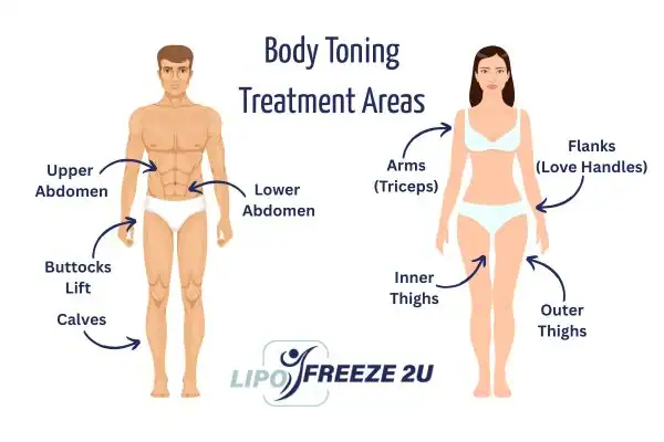 Graphic showing where you can have Body toning Treatment Folkestone on your body